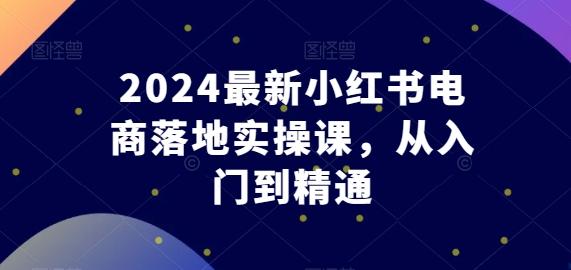 2024最新小红书电商落地实操课，从入门到精通-搞钱日记