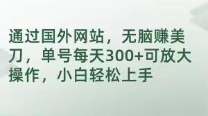通过国外网站，无脑赚美刀，单号每天300+可放大操作，小白轻松上手【揭秘】-搞钱日记