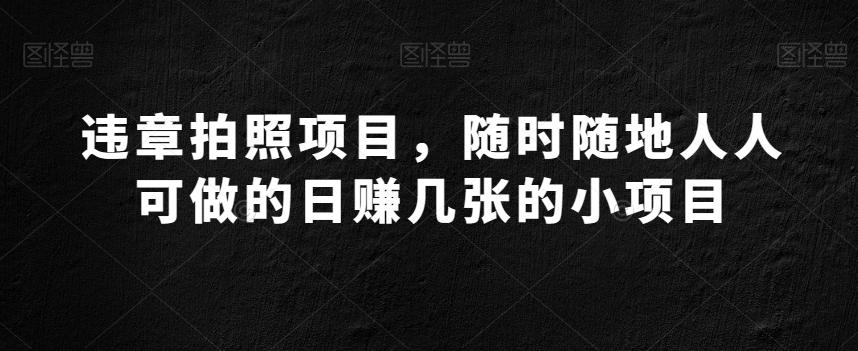 违章拍照项目，随时随地人人可做的日赚几张的小项目-搞钱日记