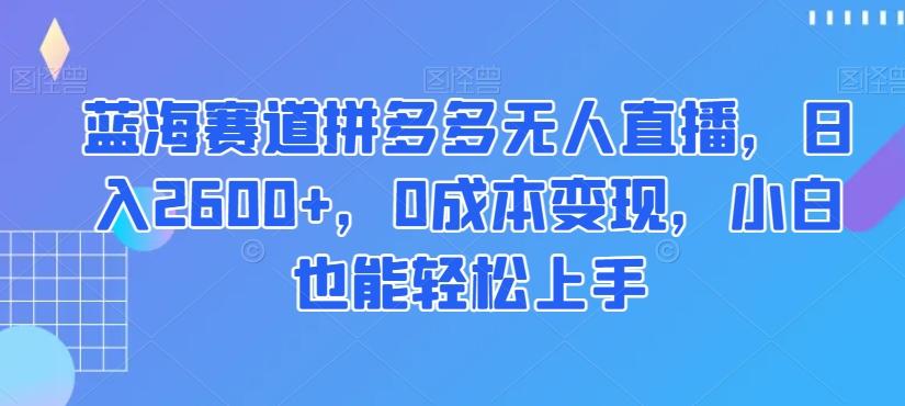 蓝海赛道拼多多无人直播，日入2600+，0成本变现，小白也能轻松上手【揭秘】-搞钱日记