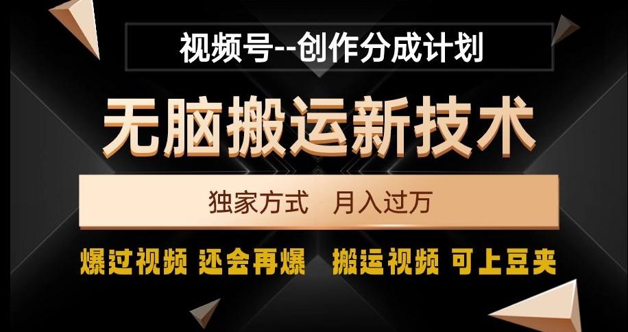 视频号无脑搬运新技术，破原创壕流量，独家方式，爆过视频，还会再爆【揭秘】-搞钱日记
