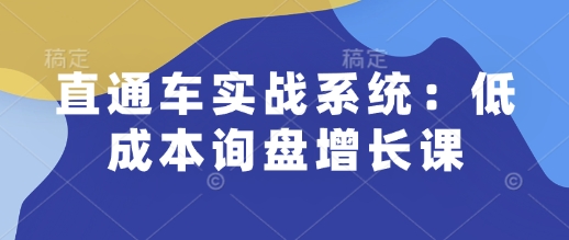 直通车实战系统：低成本询盘增长课，让个人通过技能实现升职加薪，让企业低成本获客，订单源源不断-搞钱日记