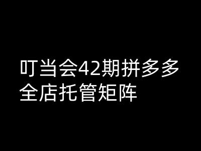 叮当会拼多多打爆班原创高阶技术第42期，拼多多全店托管矩阵-搞钱日记