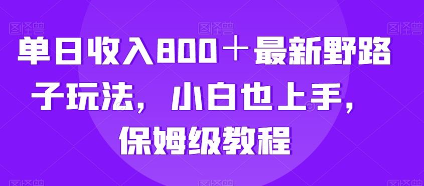 单日收入800＋最新野路子玩法，小白也上手，保姆级教程-搞钱日记