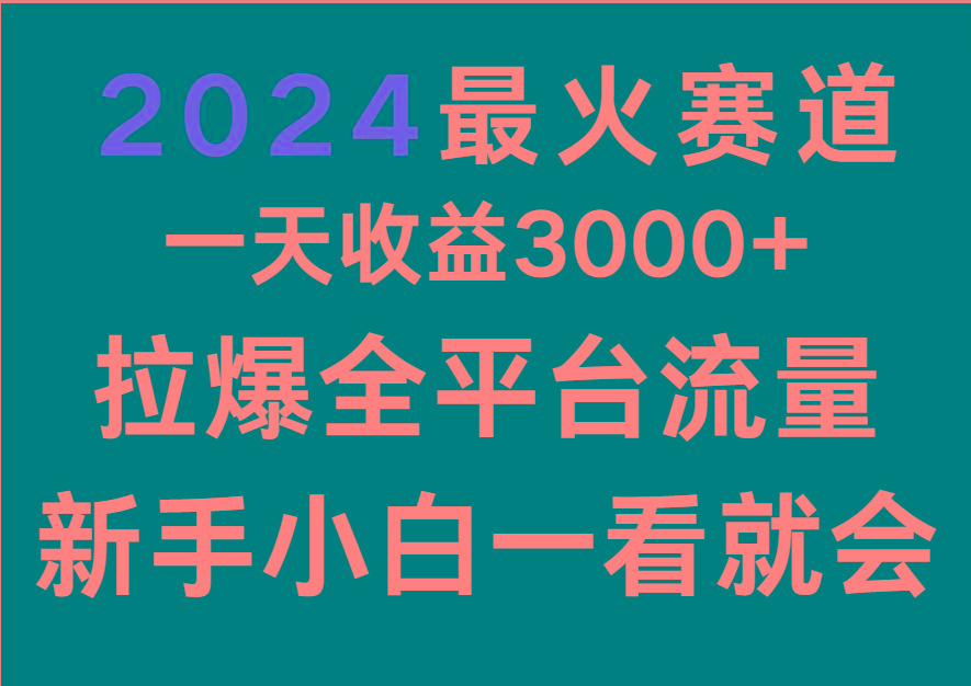 2024最火赛道，一天收一3000+.拉爆全平台流量，新手小白一看就会-搞钱日记