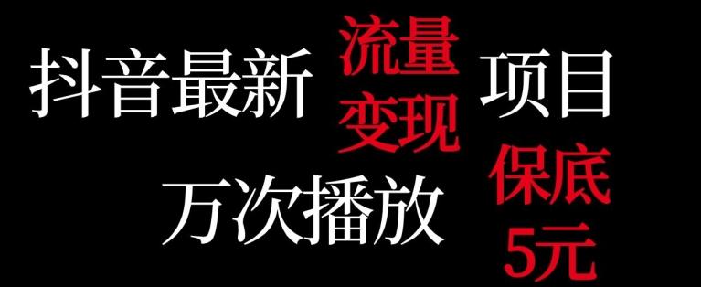 抖音流量变现，万次播放保底5元，额外收入-搞钱日记