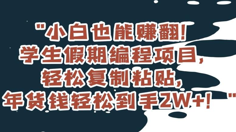 小白也能赚翻！学生假期编程项目，轻松复制粘贴，年货钱轻松到手2W+【揭秘】-搞钱日记