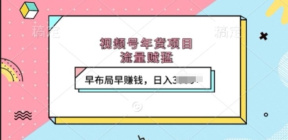 视频号年货项目，流量贼猛，早布局早挣钱，日入上k【揭秘】-搞钱日记