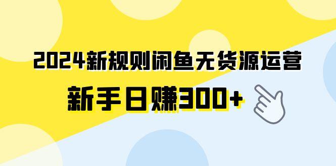 (9522期)2024新规则闲鱼无货源运营新手日赚300+-搞钱日记