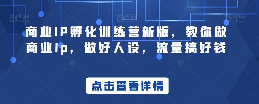 商业IP孵化训练营新版，教你做商业Ip，做好人设，流量搞好钱-搞钱日记