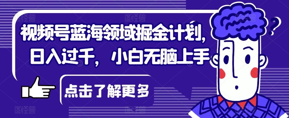 视频号蓝海领域掘金计划，日入过千，小白无脑上手【揭秘】-搞钱日记