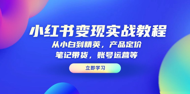 小红书变现实战教程：从小白到精英，产品定价，笔记带货，账号运营等-搞钱日记