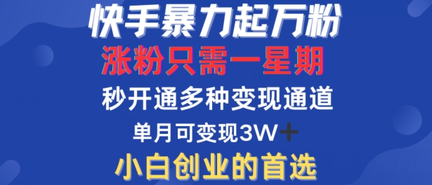 快手暴力起万粉，涨粉只需一星期，多种变现模式，直接秒开万合，单月变现过W【揭秘】-搞钱日记