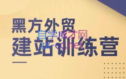 黑方老师·谷歌B端独立站建站推广-搞钱日记