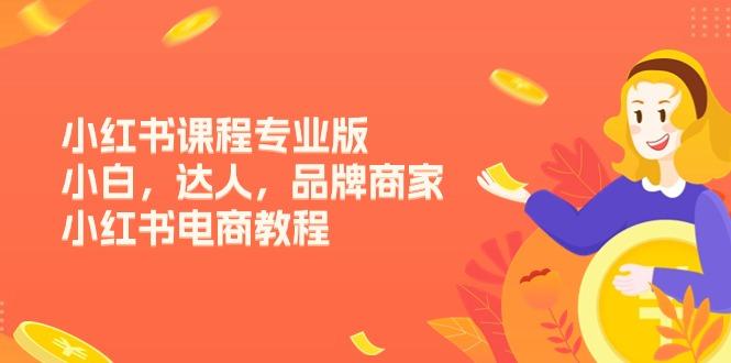小红书课程专业版，小白，达人，品牌商家，小红书电商教程(15节-搞钱日记