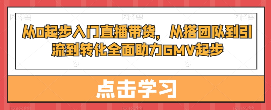 从0起步入门直播带货，​从搭团队到引流到转化全面助力GMV起步-搞钱日记