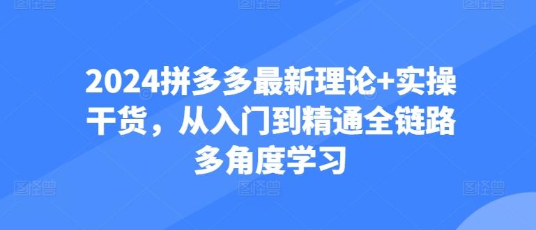 2024拼多多最新理论+实操干货，从入门到精通全链路多角度学习-搞钱日记