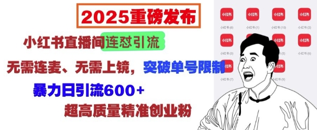 2025重磅发布：小红书直播间连怼引流，无需连麦、无需上镜，突破单号限制，暴力日引流600+-搞钱日记