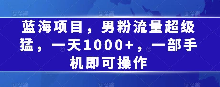 蓝海项目，男粉流量超级猛，一天1000+，一部手机即可操作【揭秘】-搞钱日记