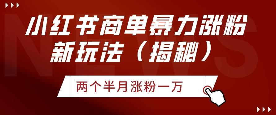 小红书商单暴力涨粉新玩法两个半月涨粉一万（揭秘）-搞钱日记