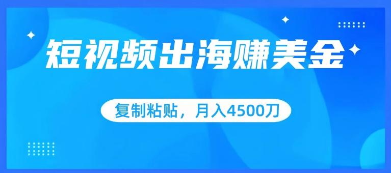 短视频出海赚美金，复制粘贴批量操作，小白轻松掌握，月入4500美刀【揭秘】-搞钱日记