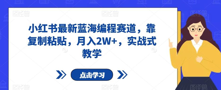 小红书最新蓝海编程赛道，靠复制粘贴，月入2W+，实战式教学【揭秘】-搞钱日记