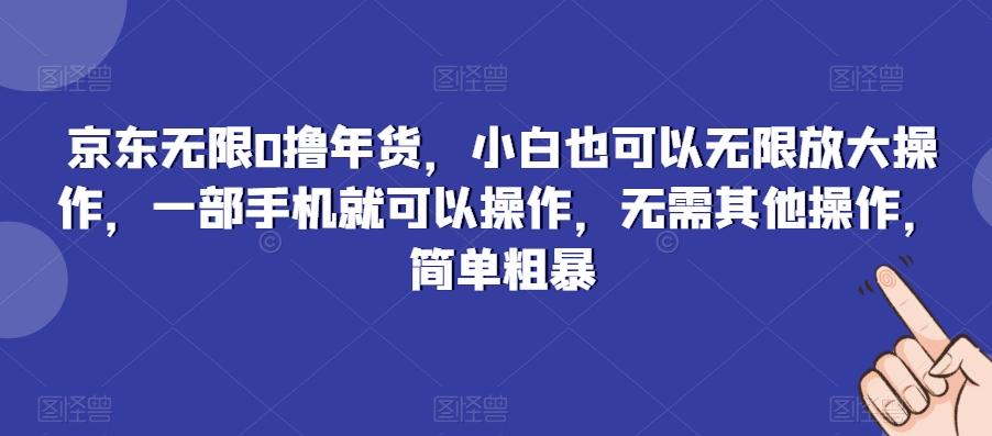 京东无限0撸年货，小白也可以无限放大操作，一部手机就可以操作，无需其他操作，简单粗暴-搞钱日记