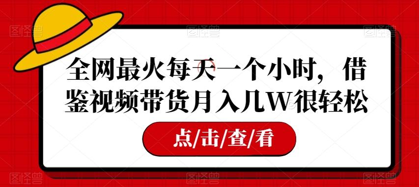 全网最火每天一个小时，借鉴视频带货月入几W很轻松【揭秘】-搞钱日记