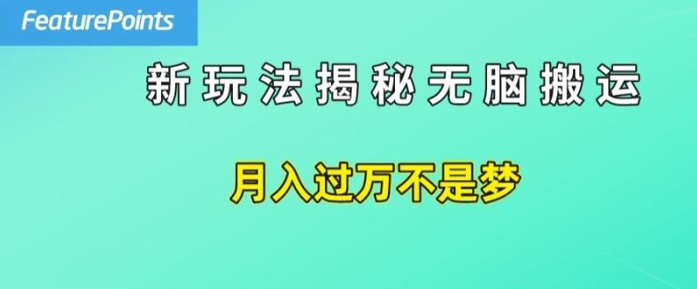 简单操作，每天50美元收入，搬运就是赚钱的秘诀【揭秘】-搞钱日记