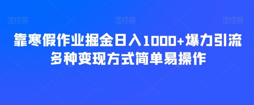靠寒假作业掘金日入1000+爆力引流多种变现方式简单易操作-搞钱日记