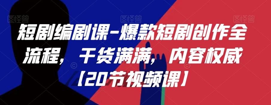 短剧编剧课-爆款短剧创作全流程，干货满满，内容权威【20节视频课】-搞钱日记