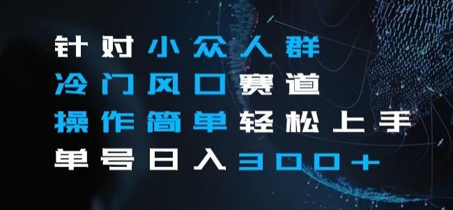 针对小众人群冷门风口赛道，操作简单轻松上手单号日入300+-搞钱日记