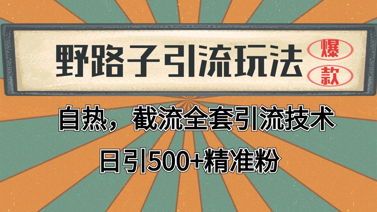 抖音小红书视频号全平台引流打法，全自动引流日引2000+精准客户-搞钱日记