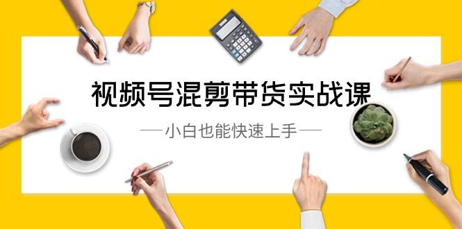 视频号混剪带货实战课，小白也能快速上手（10节课）-搞钱日记