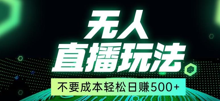 全网首发24年最新无人直播玩法，不需要成本，无需人力，一台电脑24小时为你工作-搞钱日记