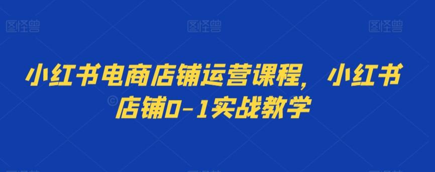 小红书电商店铺运营课程，小红书店铺0-1实战教学-搞钱日记