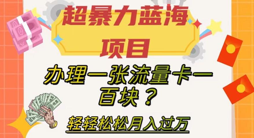 超暴力蓝海项目，办理一张流量卡一百块？轻轻松松月入过万，保姆级教程【揭秘】-搞钱日记