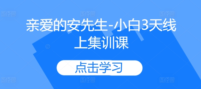 亲爱的安先生-小白3天线上集训课-搞钱日记