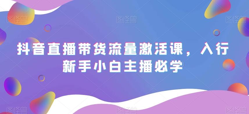 抖音直播带货流量激活课，入行新手小白主播必学-搞钱日记