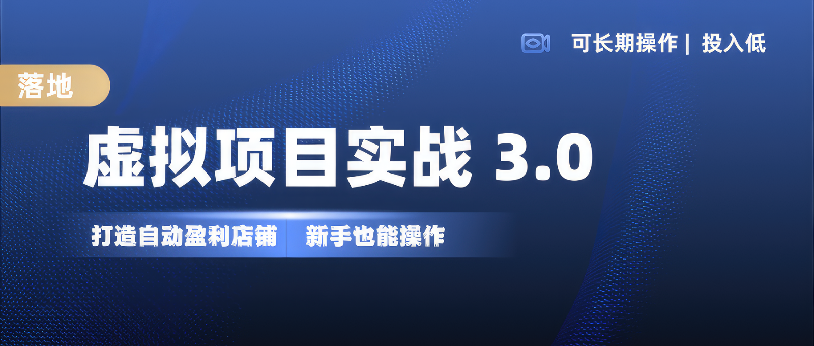 虚拟项目实操落地 3.0,新手轻松上手，单品月入1W+-搞钱日记