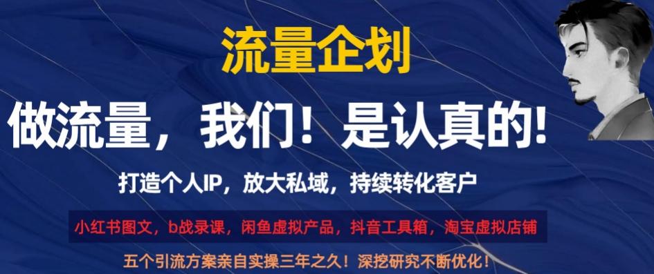 流量企划，打造个人IP，放大私域，持续转化客户【揭秘】-搞钱日记
