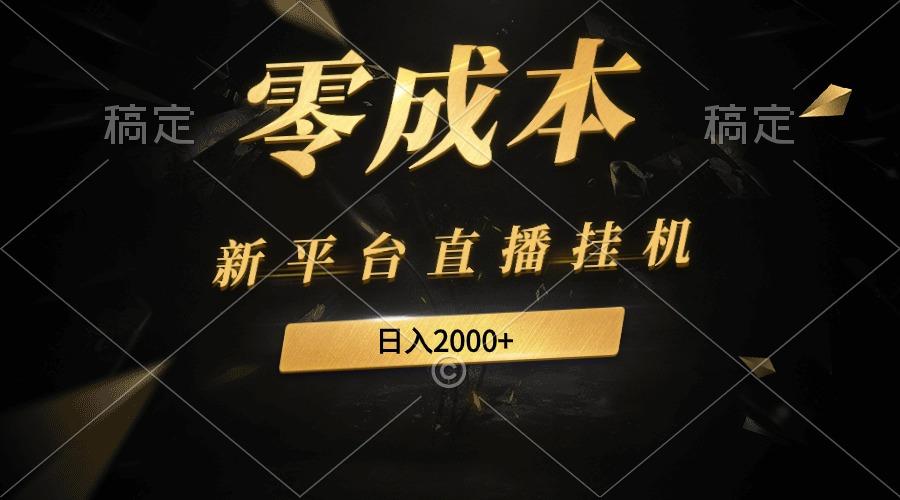 (9841期)新平台直播挂机最新玩法，0成本，不违规，日入2000+-搞钱日记