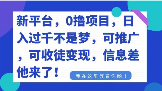 不要再花冤枉钱了，0撸项目，每天坚持，稳定1000+-搞钱日记