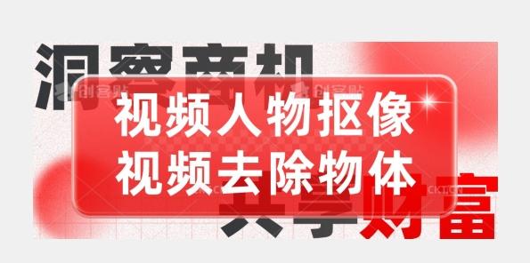 【超强视频处理工具】视频人物抠像+视频去除物体-搞钱日记