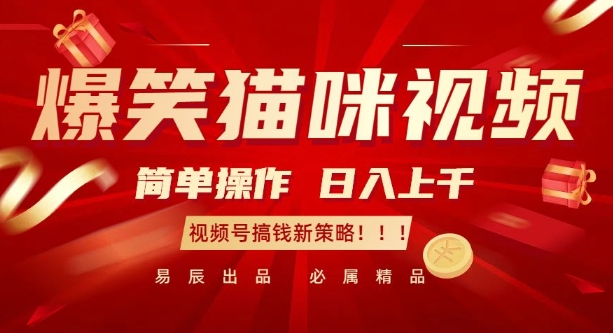 爆笑猫咪视频：简单操作，日入过K，视频号搞钱新策略【揭秘】-搞钱日记