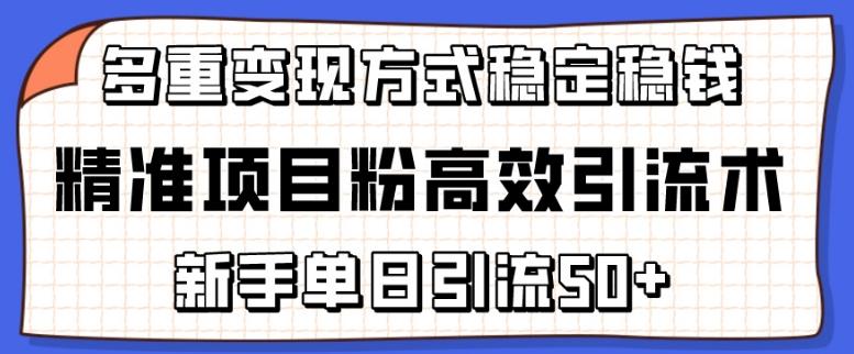 精准项目粉高效引流术，新手单日引流50+，多重变现方式稳定赚钱【揭秘】-搞钱日记