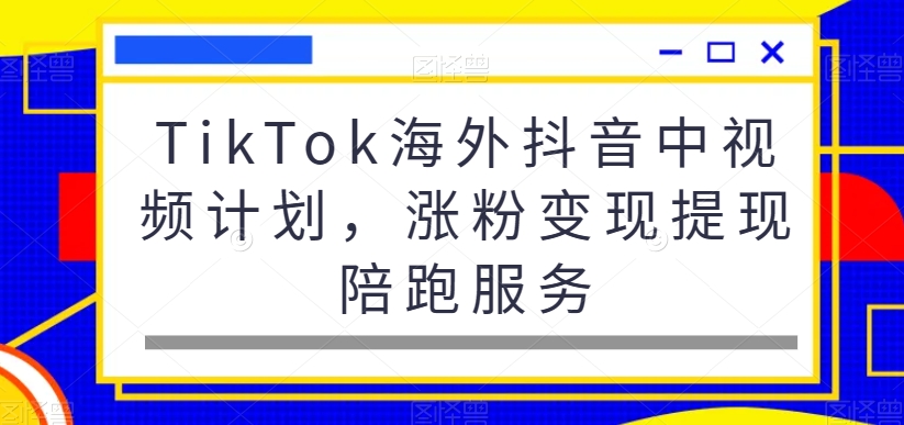 TikTok海外抖音中视频计划，涨粉变现提现陪跑服务-搞钱日记