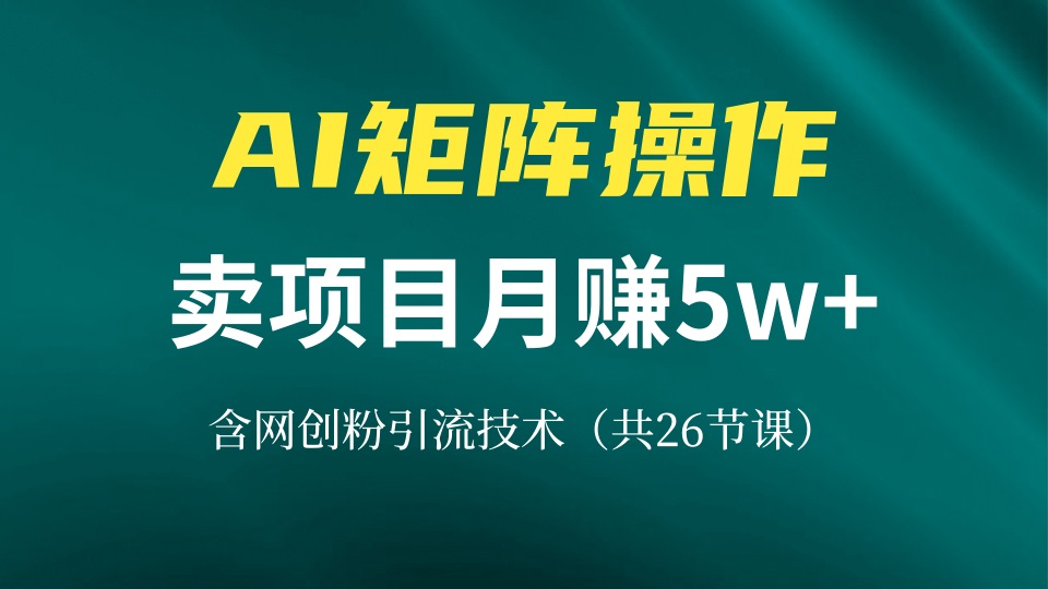 网创IP打造课，借助AI卖项目月赚5万+，含引流技术(共26节课-搞钱日记