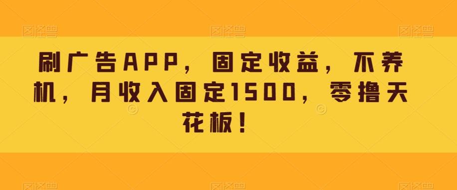 刷广告APP，固定收益，不养机，月收入固定1500，零撸天花板！-搞钱日记