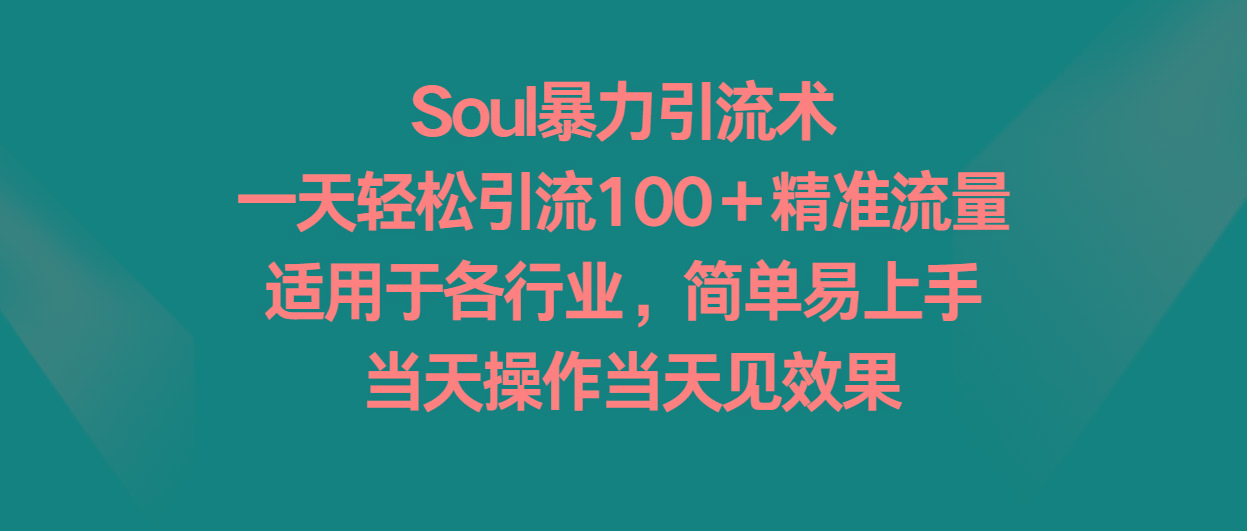 Soul暴力引流术，一天轻松引流100＋精准流量，适用于各行业，简单易上手！-搞钱日记
